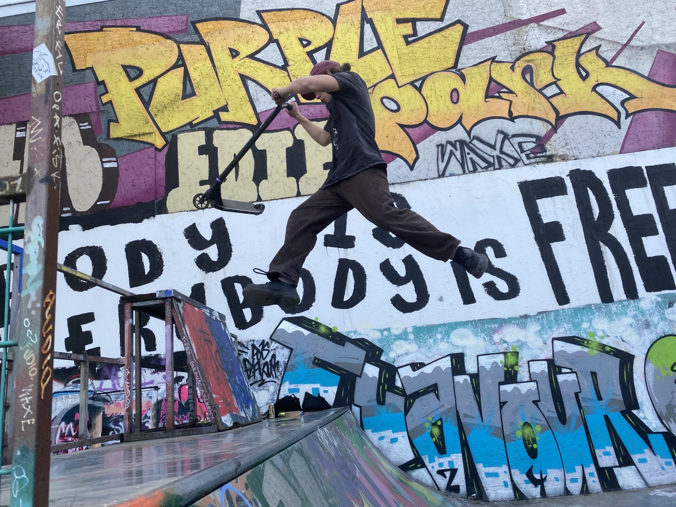 JuAr Basel, Begrünung Skateanlage Purplepark, 2024